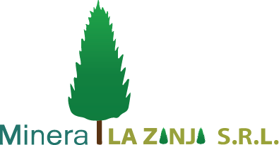 Logo de SINI - Socio académico